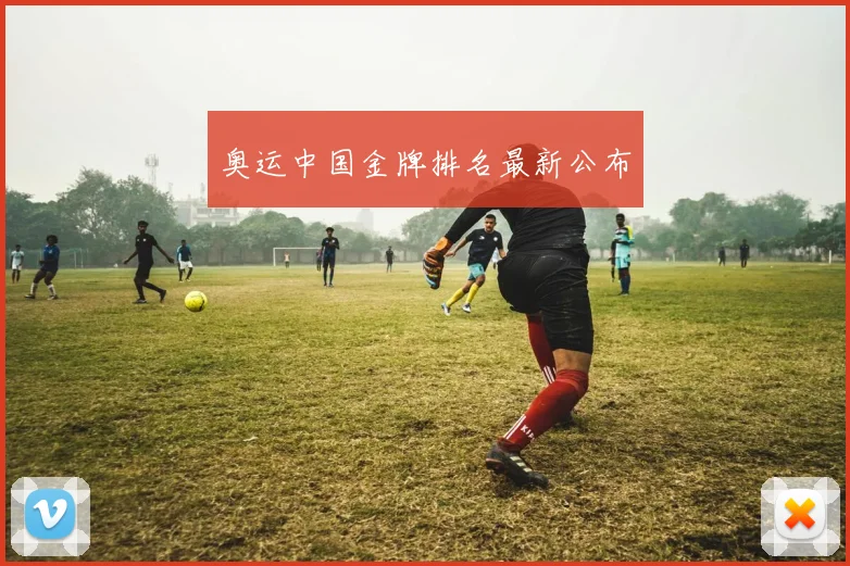 奥运中国金牌排名最新公布