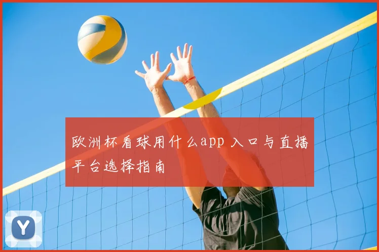 欧洲杯看球用什么app 入口与直播平台选择指南