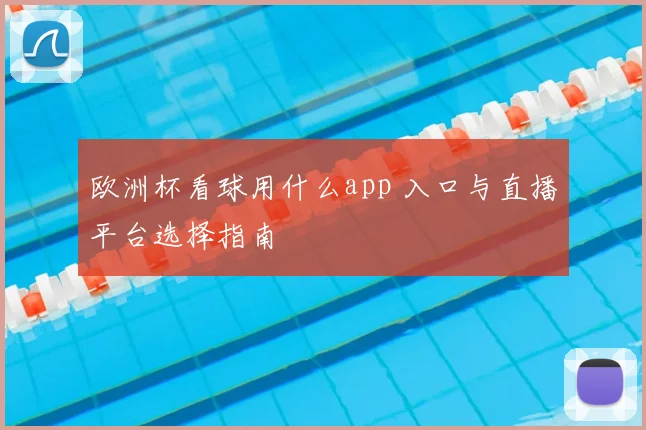 欧洲杯看球用什么app 入口与直播平台选择指南