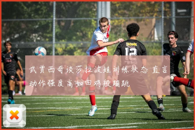 武贾西奇谈莎拉波娃训练状态 直言动作强度高如田鸡般蹦跳